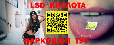 прущие грибы Нальчик