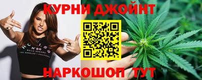 прущие грибы Нальчик