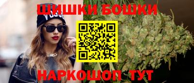 прущие грибы Нальчик