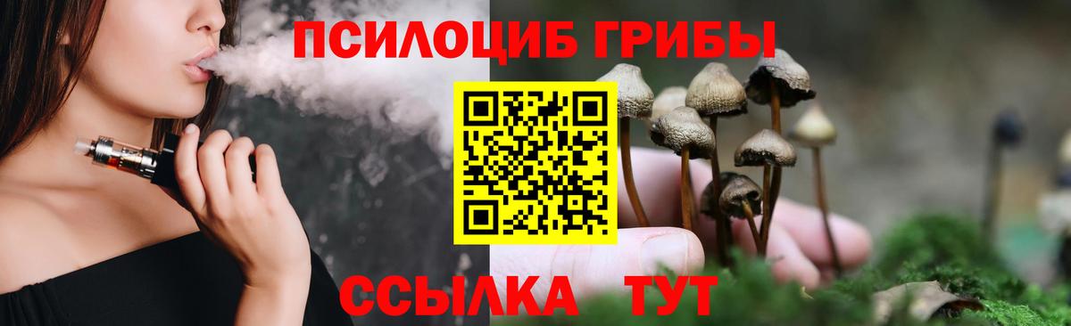 Братск  Галлюциногенные грибы прущие грибы  Вход с VPN 